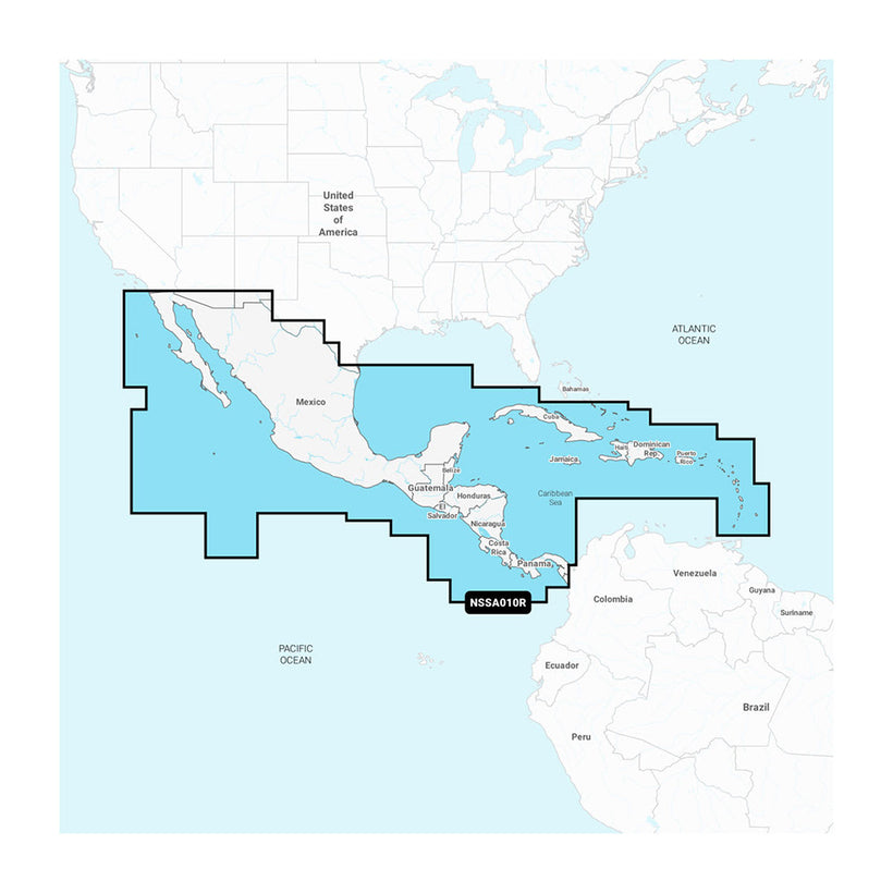 Cartography - Garmin Navionics+ Foreign