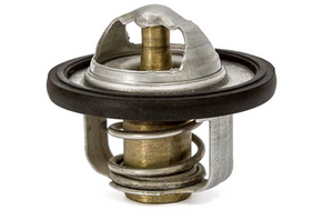 Yanmar 121750-49800 Thermostat