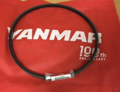 Yanmar 25132-003700 OEM V-Belt